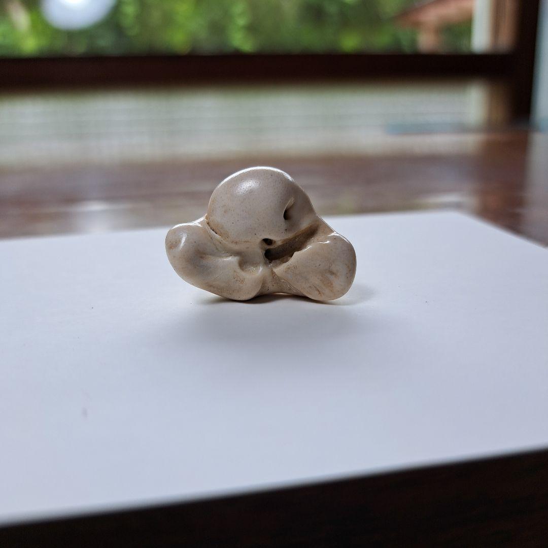 イルカの耳骨【大きさ2.8㎝】