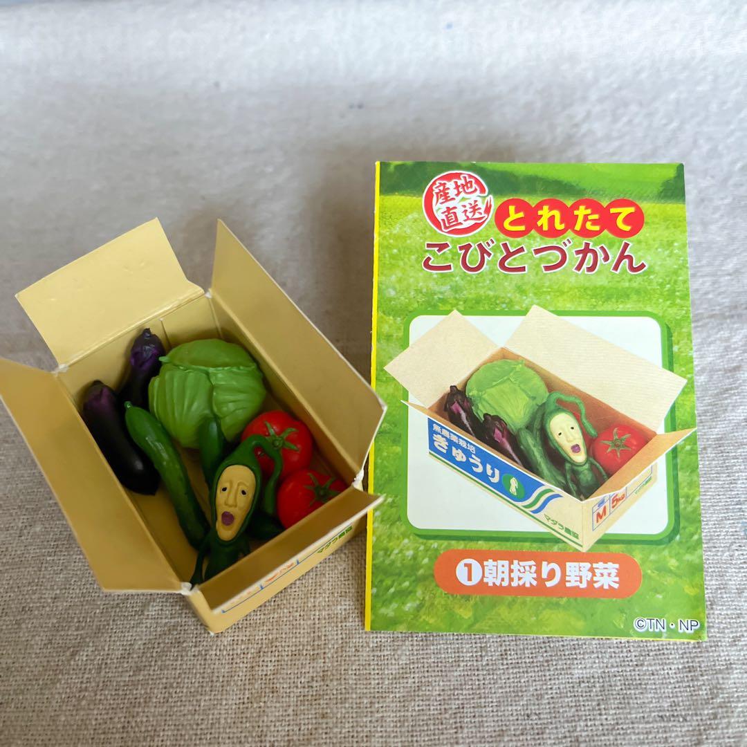 むむ様専用】産地直送とれたて こびとづかん 全6種 コンプリート