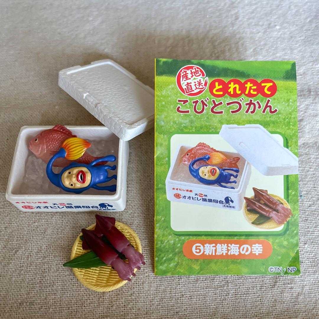 むむ様専用】産地直送とれたて こびとづかん 全6種 コンプリート