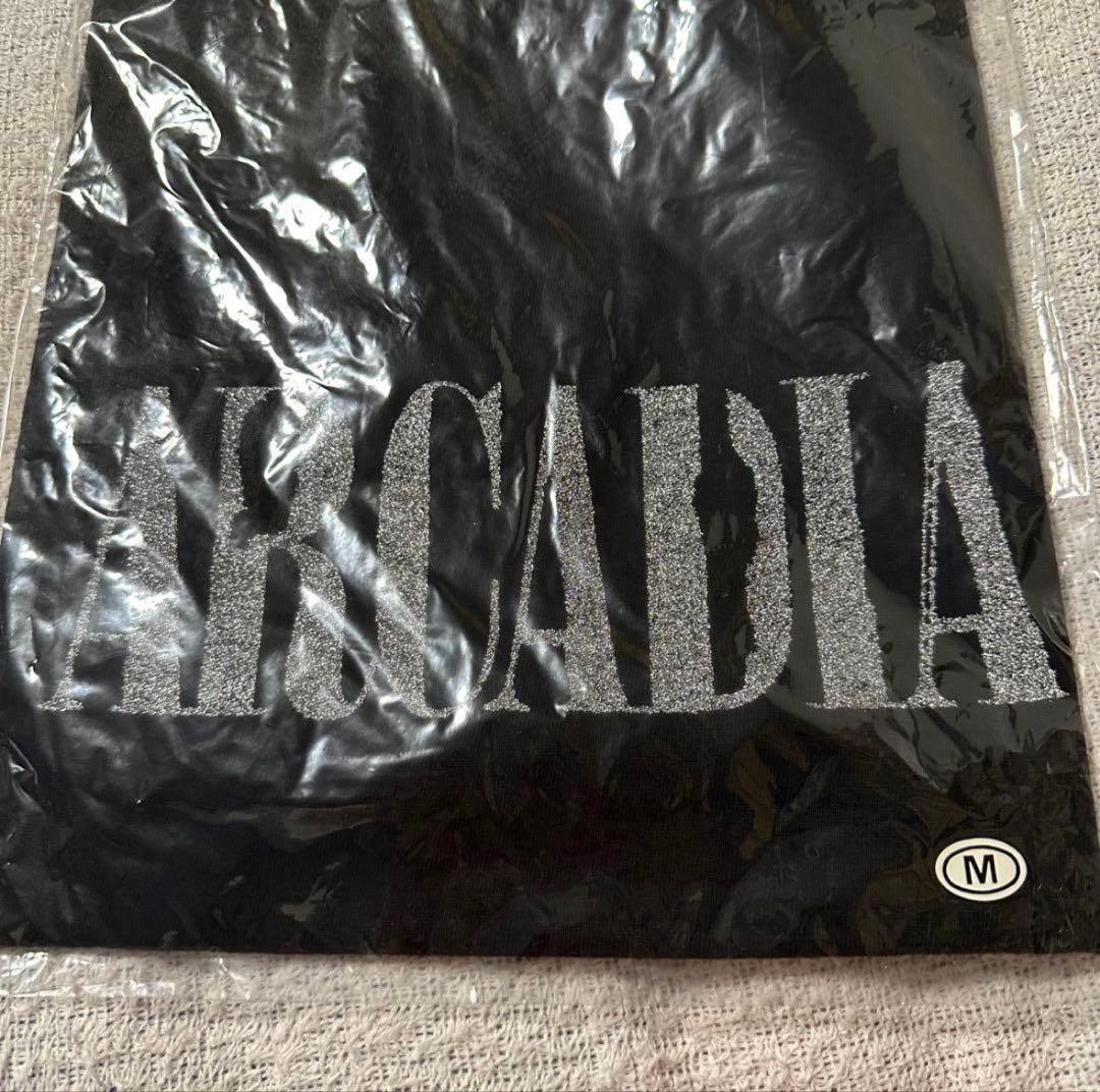 【激レア】Janne Da Arc アルカディアツアー Tシャツ