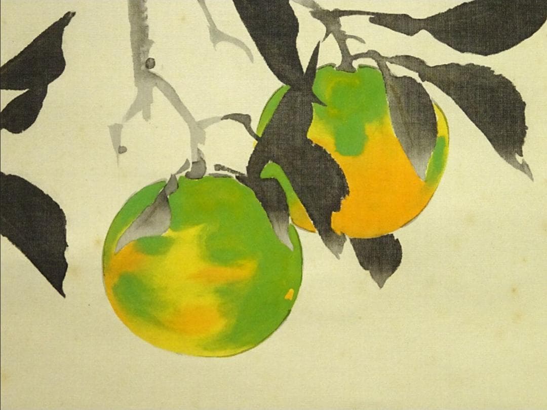 【複製巧芸画】掛軸 川端龍子『酢橘図』絹本 合せ箱付 掛け軸 a092915