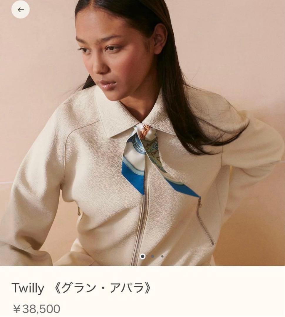 ほぼ新品・未使用　エルメス ツイリー 《グラン・アパラ》 2025春夏
