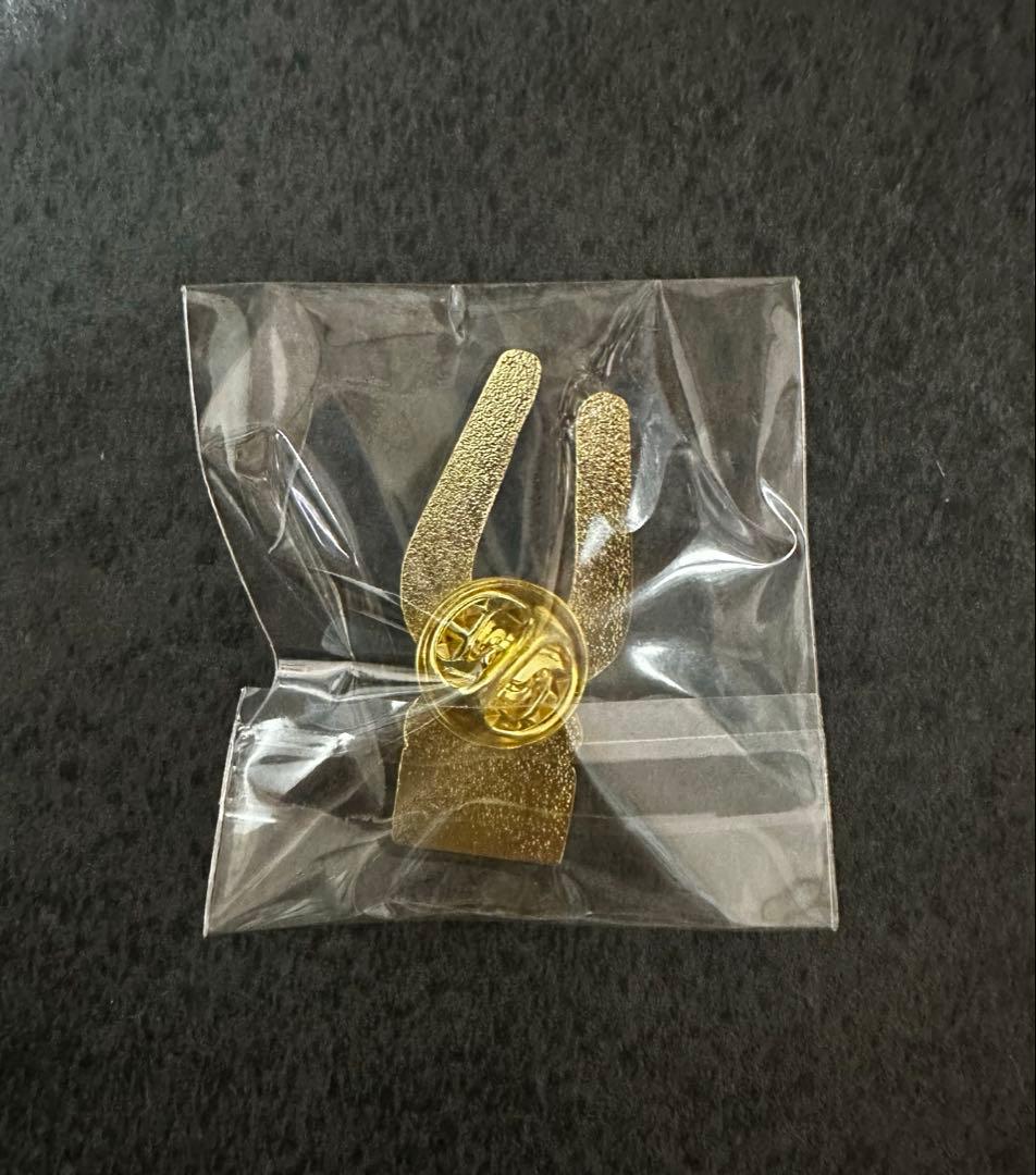 万博　ドミニカ　ピンバッチ