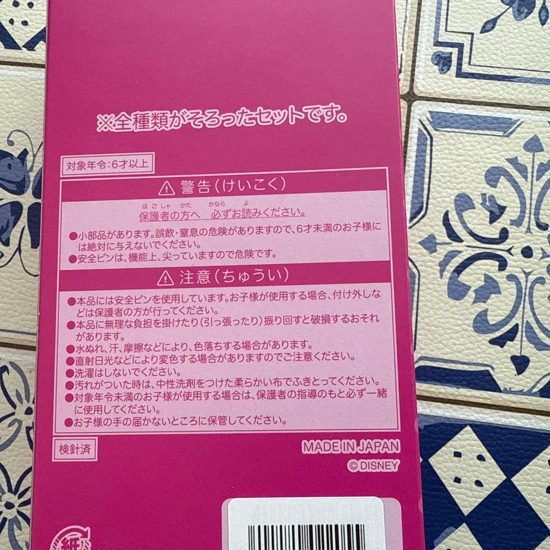 ディズニー ワッペン パルパルーザ ミニーのファンダーランド 全種
