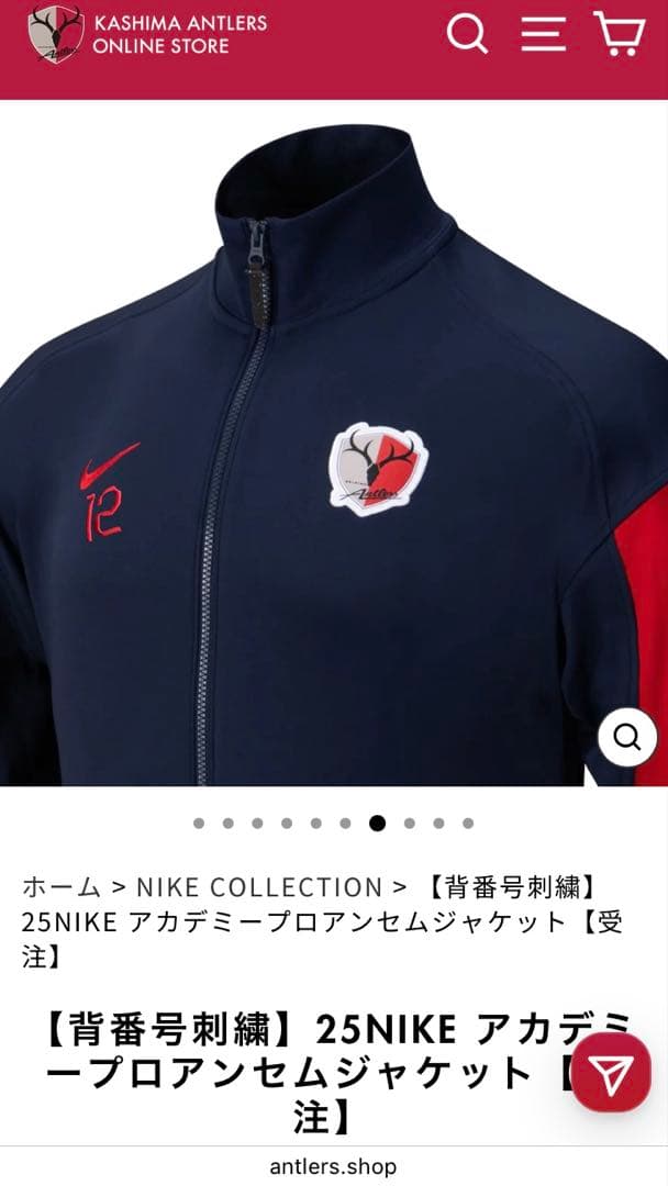 新品値下げ】鹿島アントラーズ 2025 ナイキアカデミープロアンセム