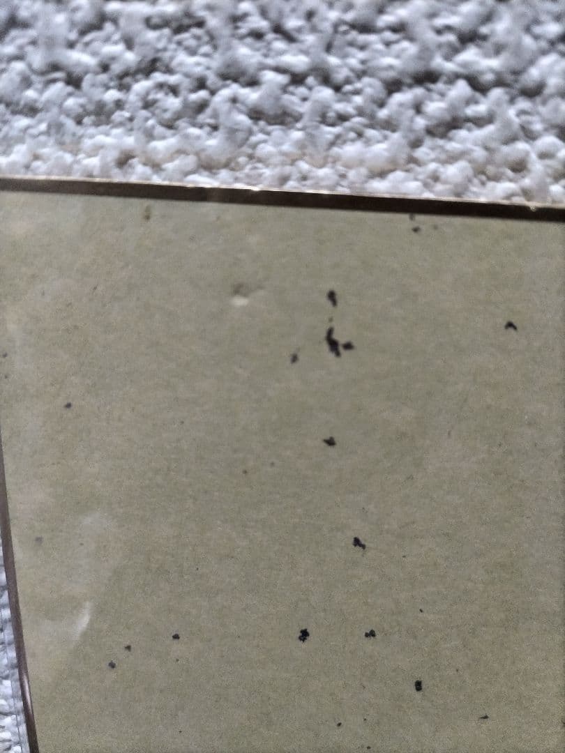 ポケモン色紙アート　まとめ売り