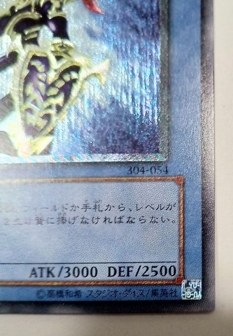 カオス・ソルジャー レリーフ 304-054