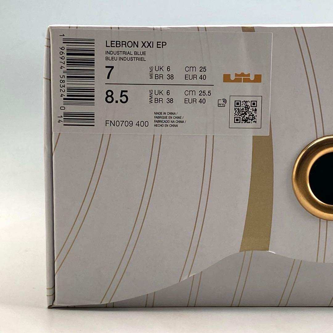 25cm ナイキ レブロン21 \"アバロン\"