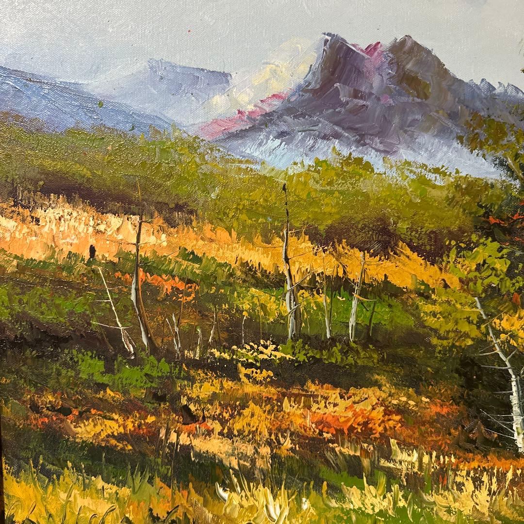 星野数男「尾瀬風景」油彩 真作 F10額装 油絵 大型絵画 風景画 美術品