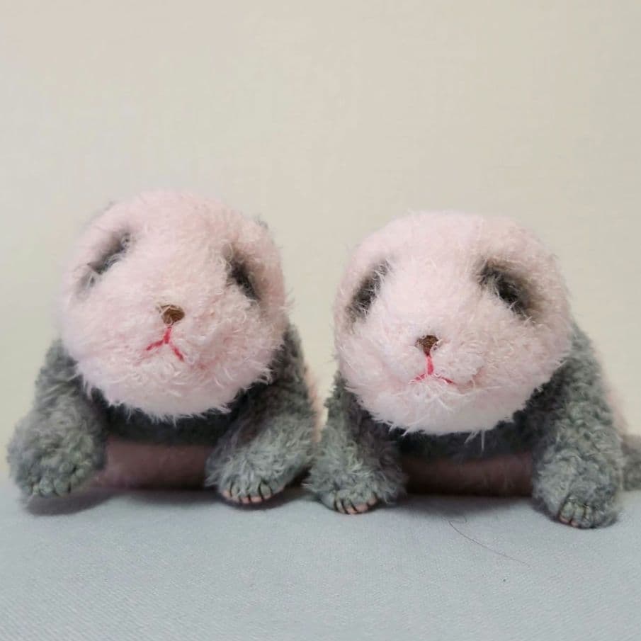 上野動物園 ほんとうの大きさのパンダの仔 シャオシャオ レイレイ