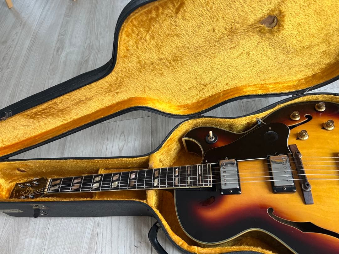 フルアコ AF-501 C-6｜ITEM｜株式会社ジゴスペック