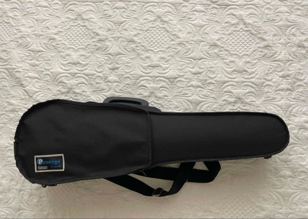 バイオリンセット 1/2サイズ 2007年製 イーストマン - メルカリ