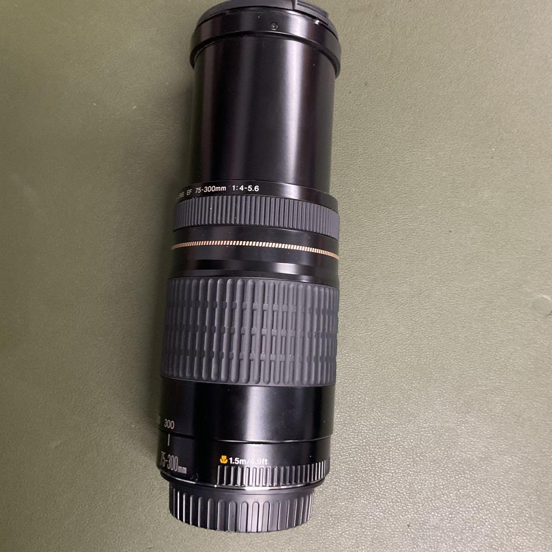 S408 Canon EF 75-300mm f/4-5.6 ズームレンズ