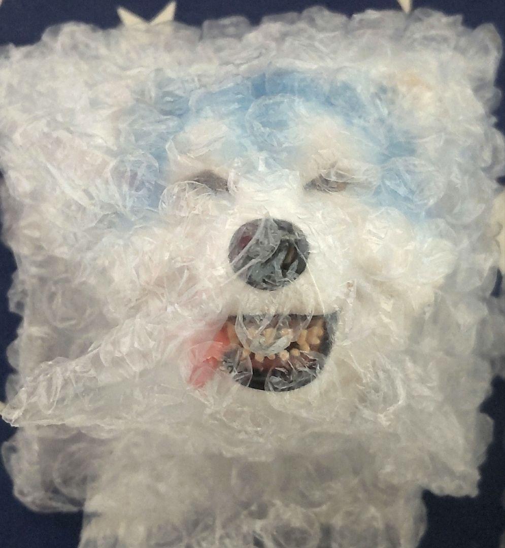 一番くじ マンウィズ H賞 フェイスマグネット 5種コンプセット