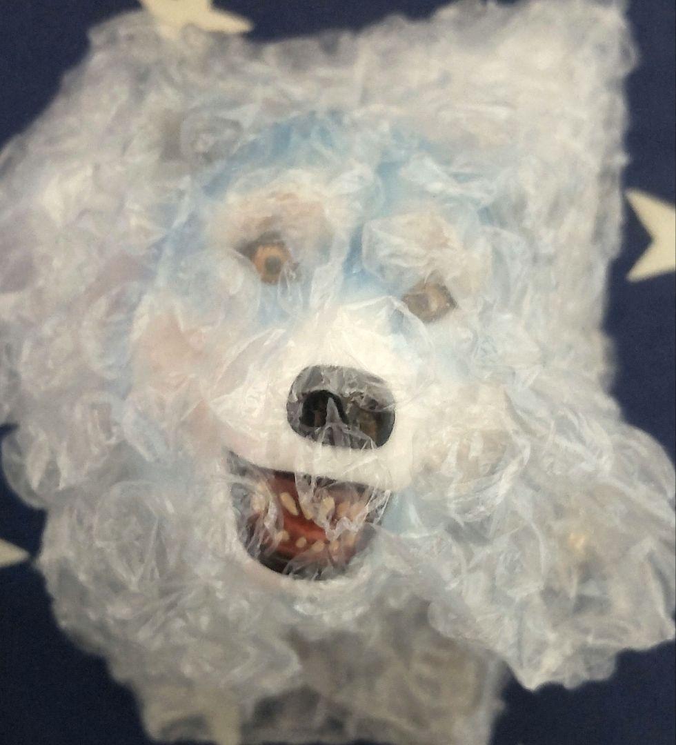 一番くじ マンウィズ H賞 フェイスマグネット 5種コンプセット