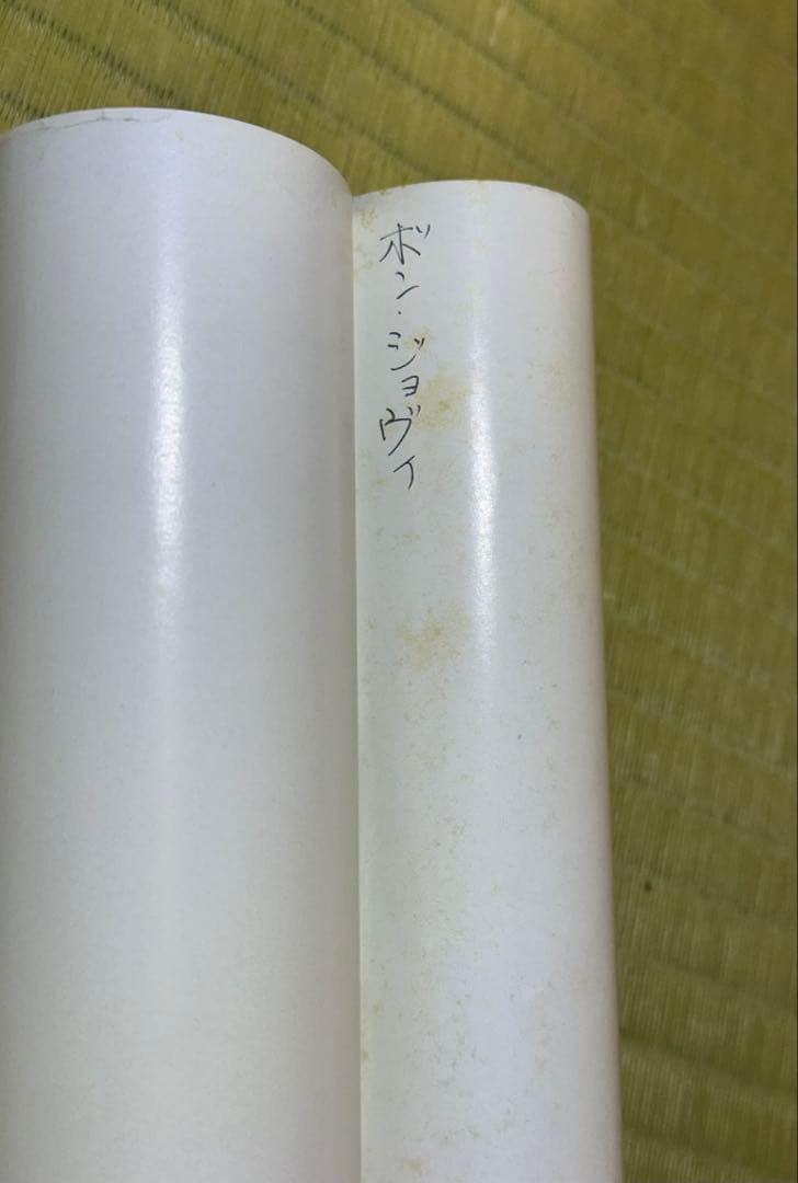 BON JOVI ボンジョヴィ Eagles イーグルス ポスター 9枚セット