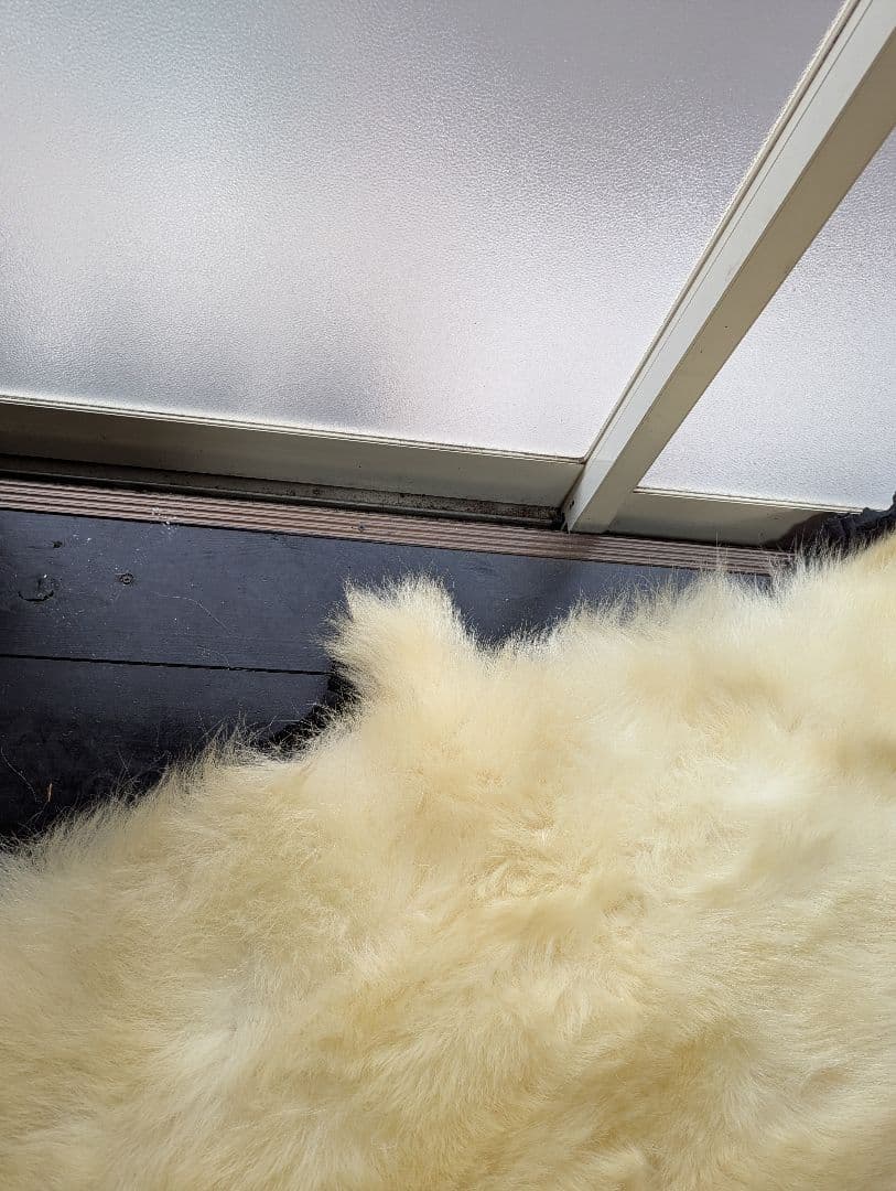 しろくま 剥製 - メルカリ