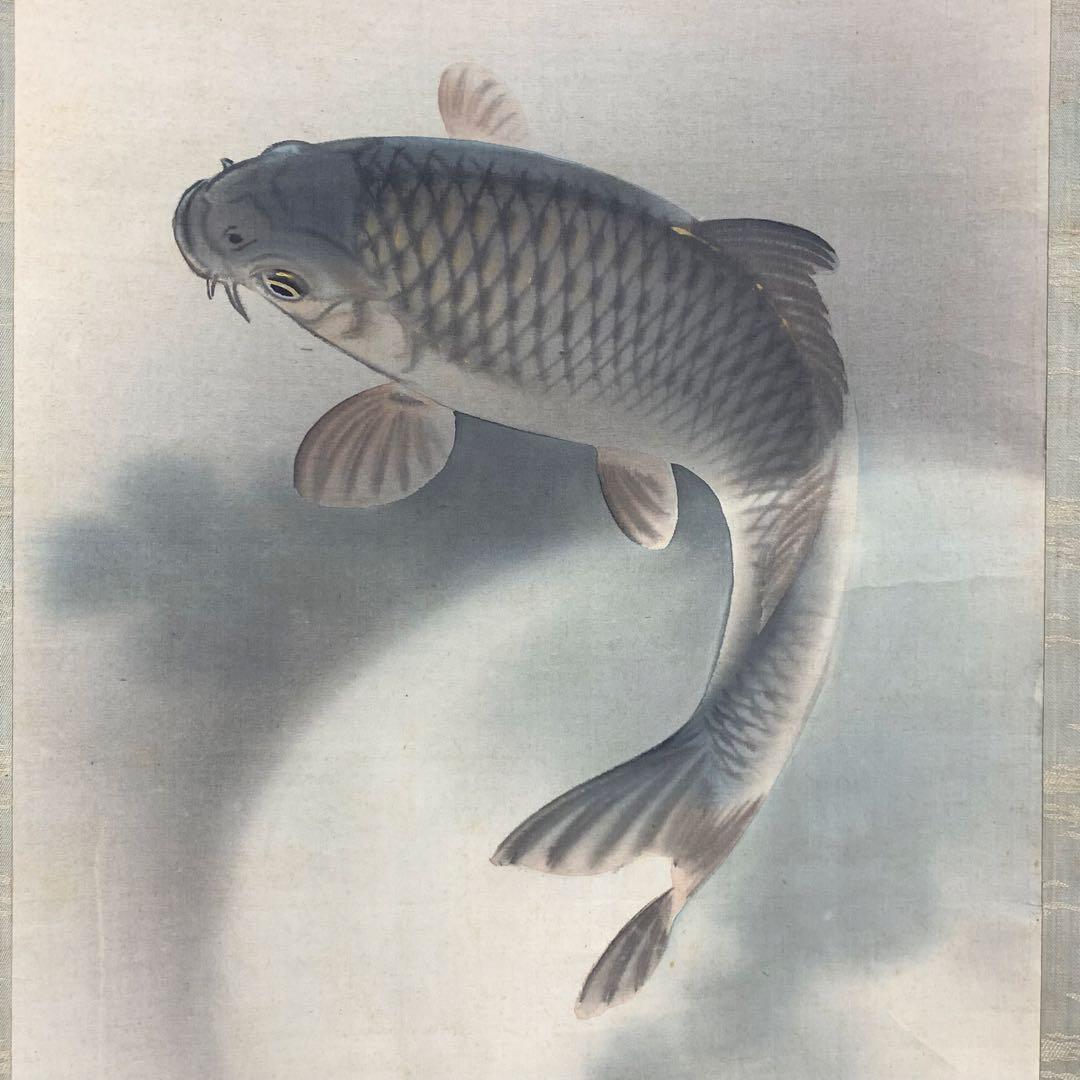 掛軸 伊藤素軒 鯉 木箱 月上 水 3-4