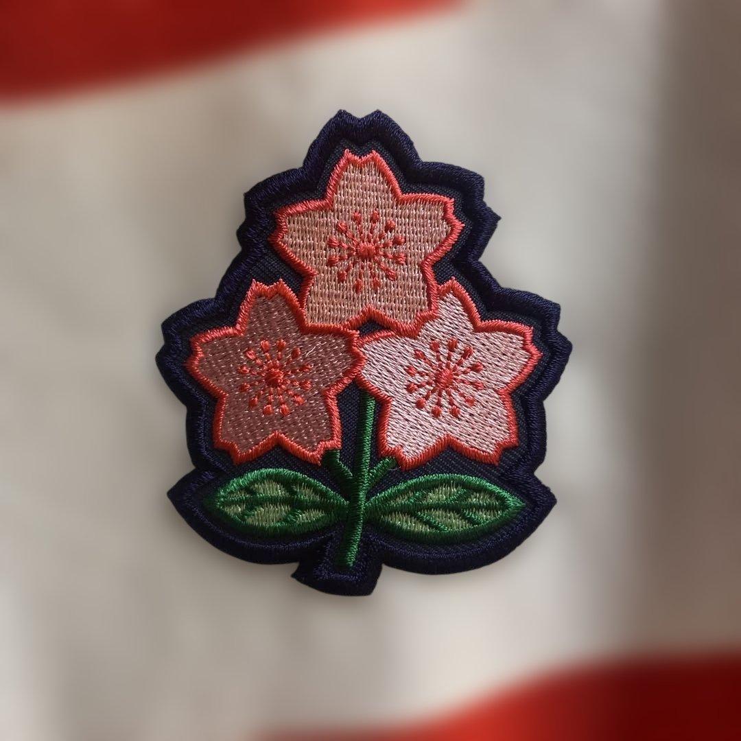 ラグビー ユニフォーム 日本代表 2015 CANTERBURY カンタベリー - メルカリ