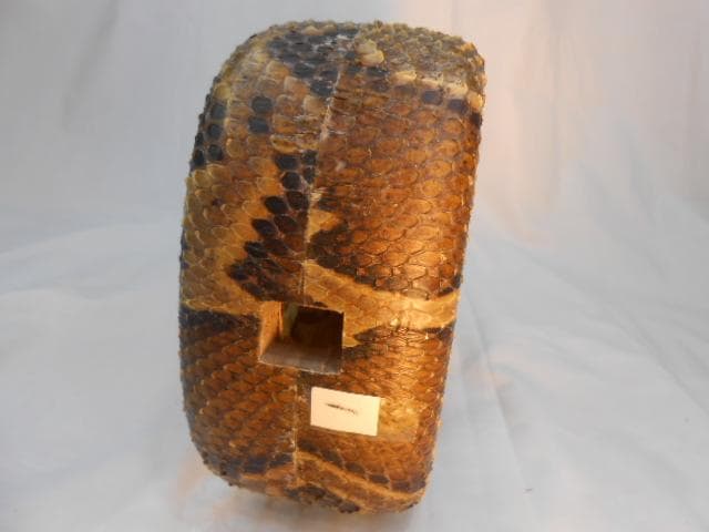 H1現品販売(送料無料)16. 沖縄三線専用 蛇皮強化チーガ