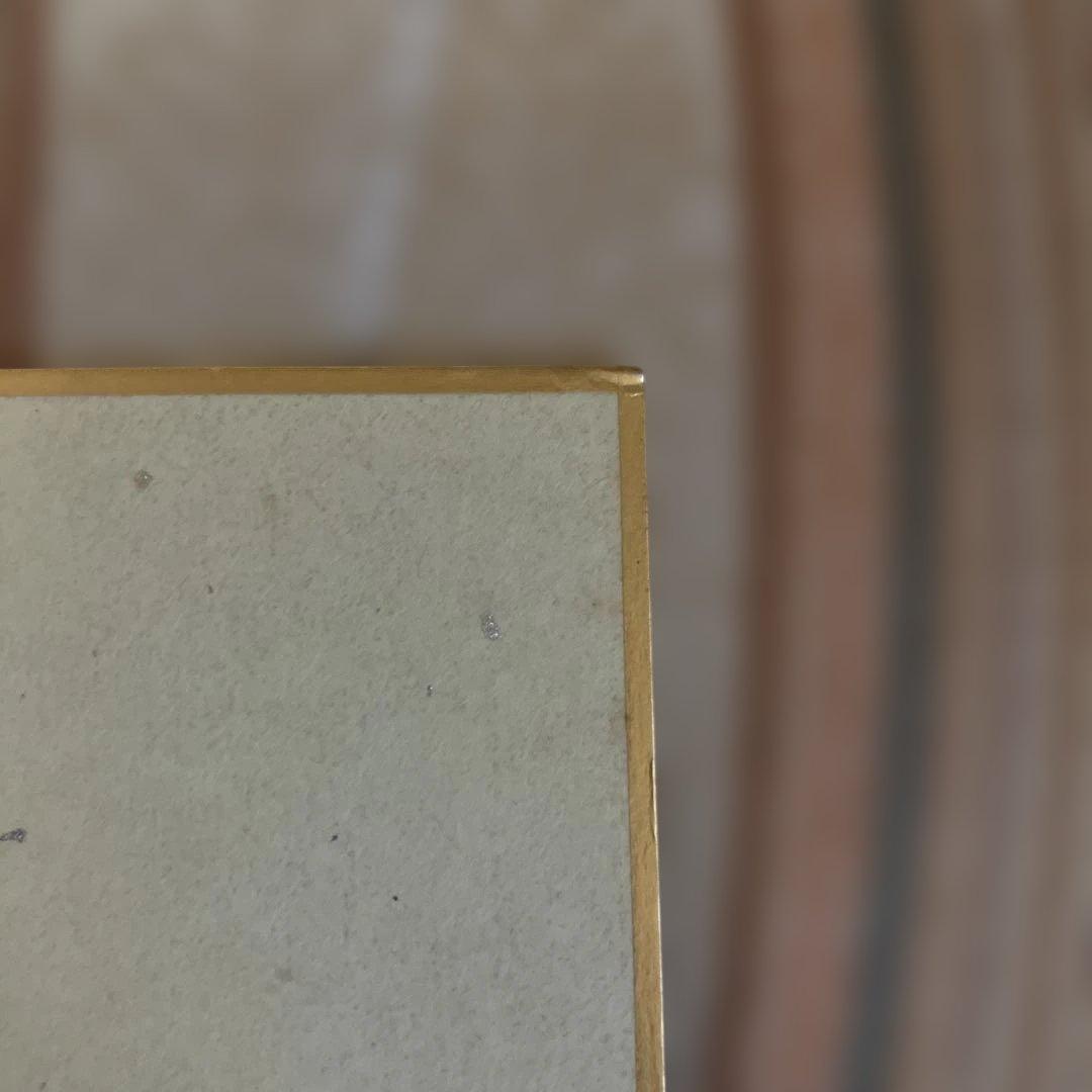 天野喜孝 直筆 サイン色紙 写真付き サイン