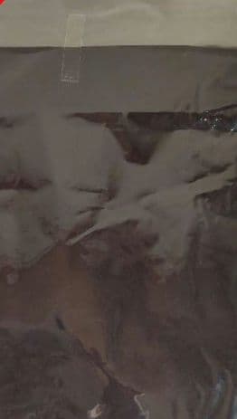 ペトロールズ DELUXEツアーグッズ ロング