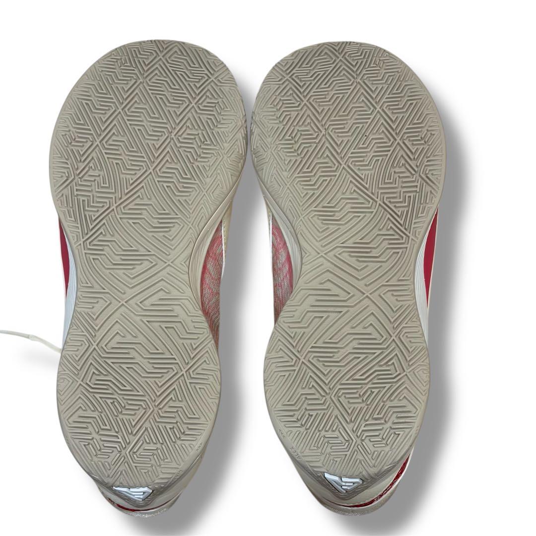 【箱付き】NIKE ナイキ ヤニス フリーク6 \"ローズ\" 27.5cm