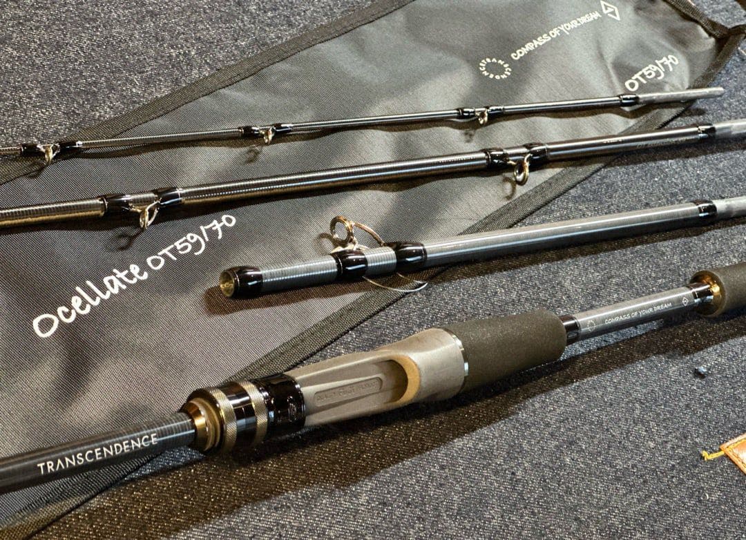 お*ん様 トランスセンデンス　オセレイト　59.70 トランスセンデンス オセレイト59B+ (5.9ft-7.0ft) TRANSCENDENCE