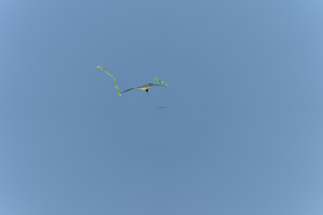 新品同様！超望遠ズーム！TAMRON 70-300mm F4.5-6.3