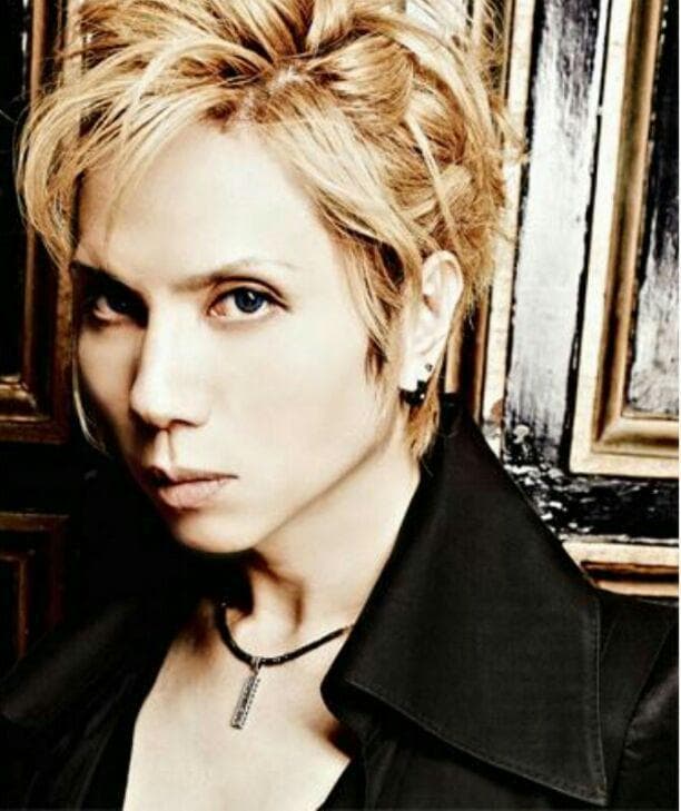 Acid Black Cherry yasu着用ネックレス - メルカリ