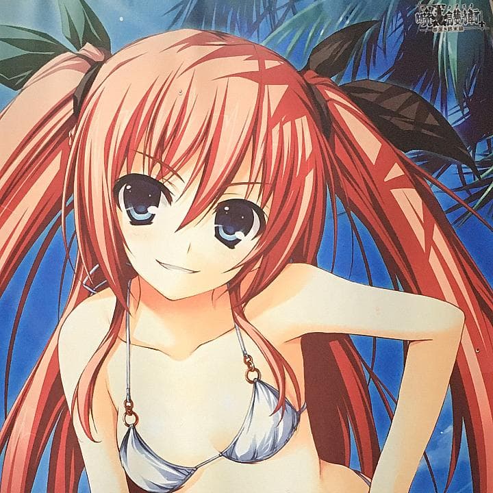 暁の護衛 二階堂麗華 タペストリー 9本セット 【稀少品】