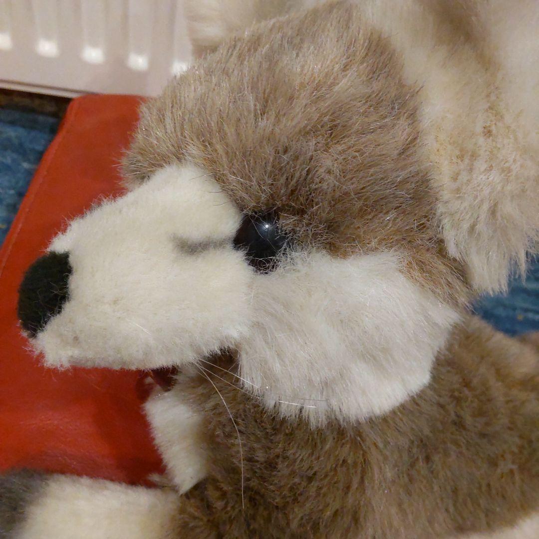 エクセレントファースト　きつね　昭和レトロ　美品