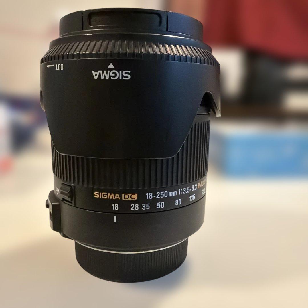 美品 Nikon SIGMA ズームレンズ 18-250mm - メルカリ