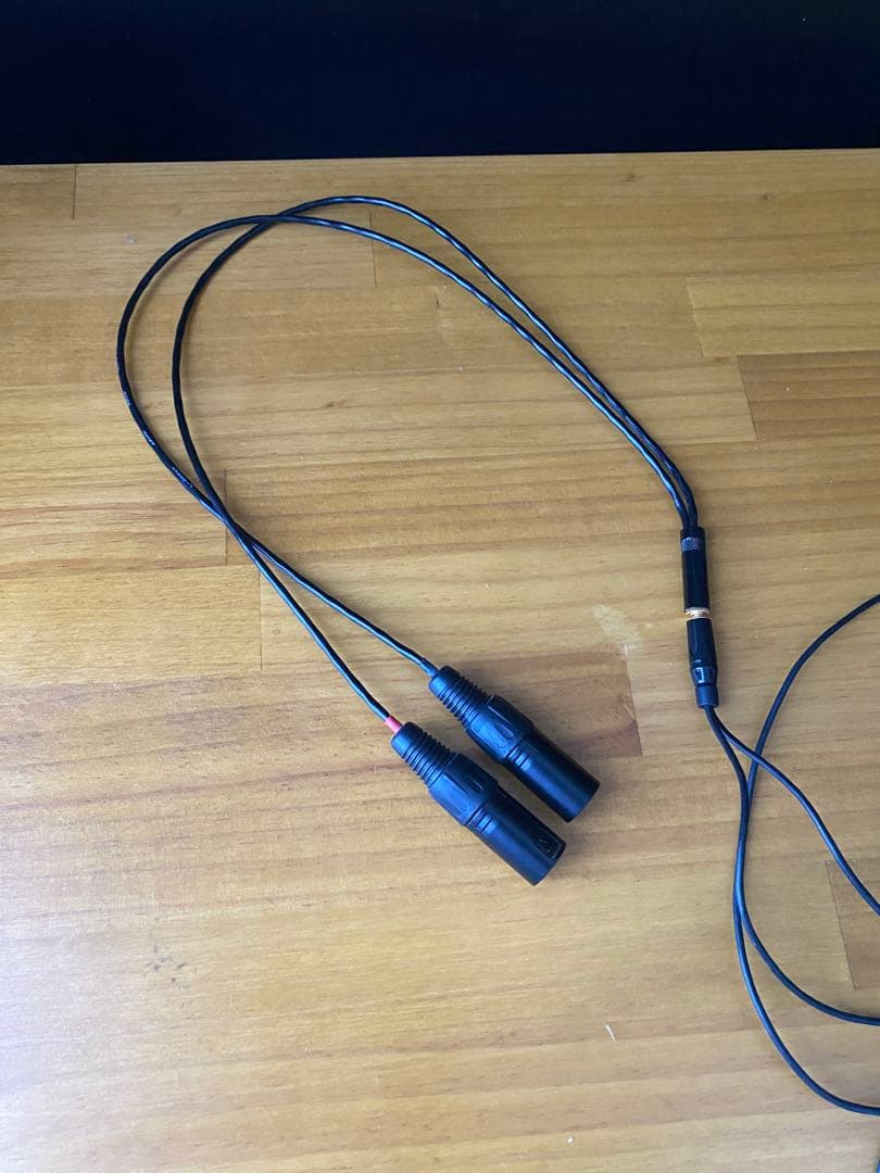 ASMR ダミーヘッドマイク B1-E BINAURAL ENTHUSIAST - メルカリ