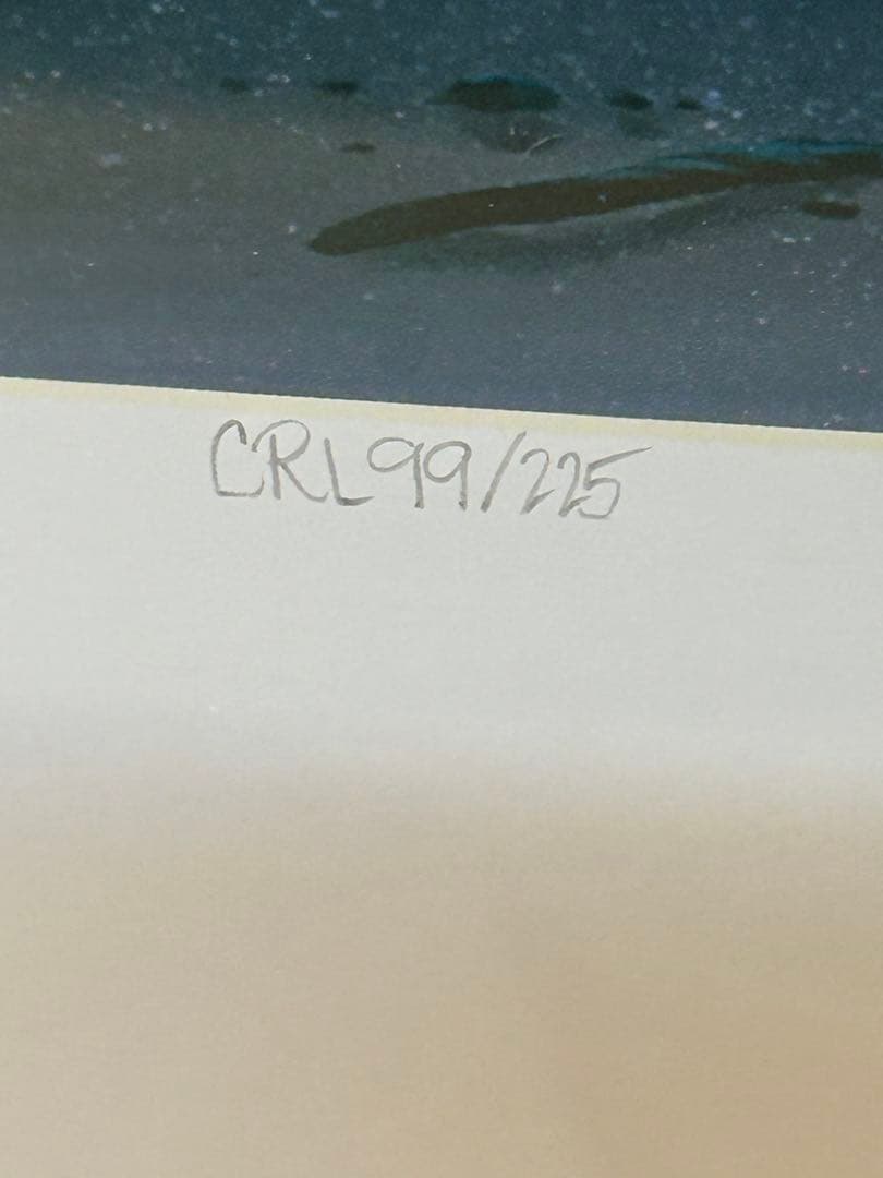 クリスチャン・ラッセン ホーキパソリチュード 絵画 版画 CRL99/225