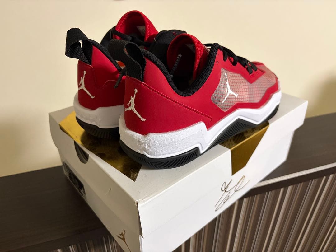 【未使用】AIR JORDAN RETRO MAX LOW G 25.5cm