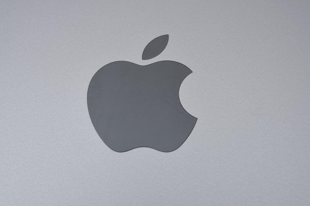 ANAロゴ刻印】iPad mini Wi-Fiモデル 64GB スペースグレイ - メルカリ