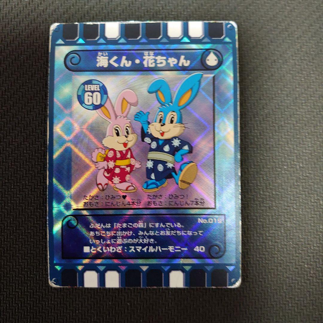 ぐるり森 ひたち海浜公園 廃盤限定カード - メルカリ