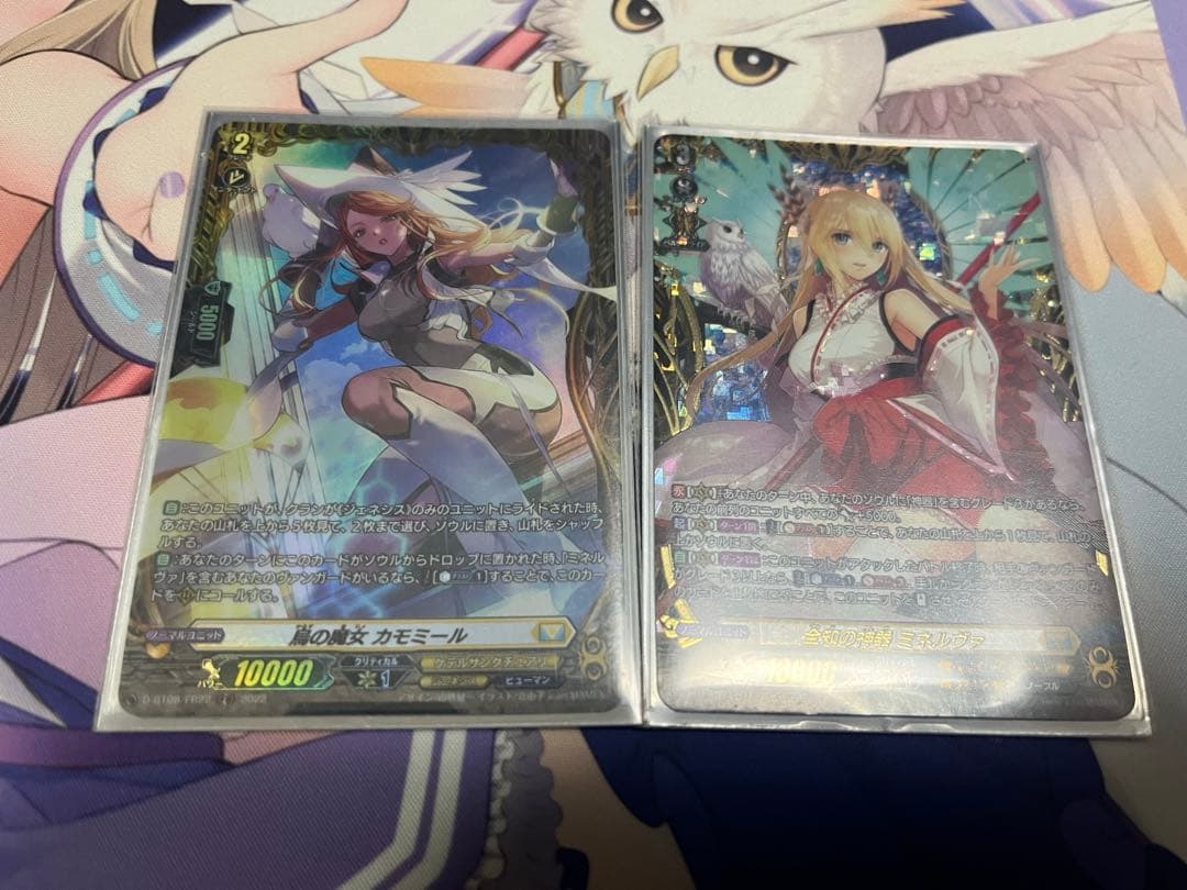 ヴァンガード ミネルヴァFRライドライン。