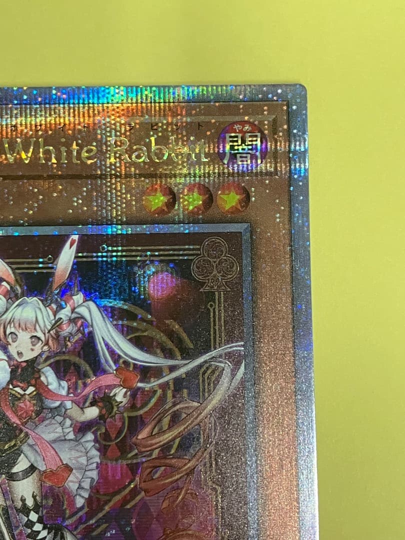 ホワイトラビット　25th