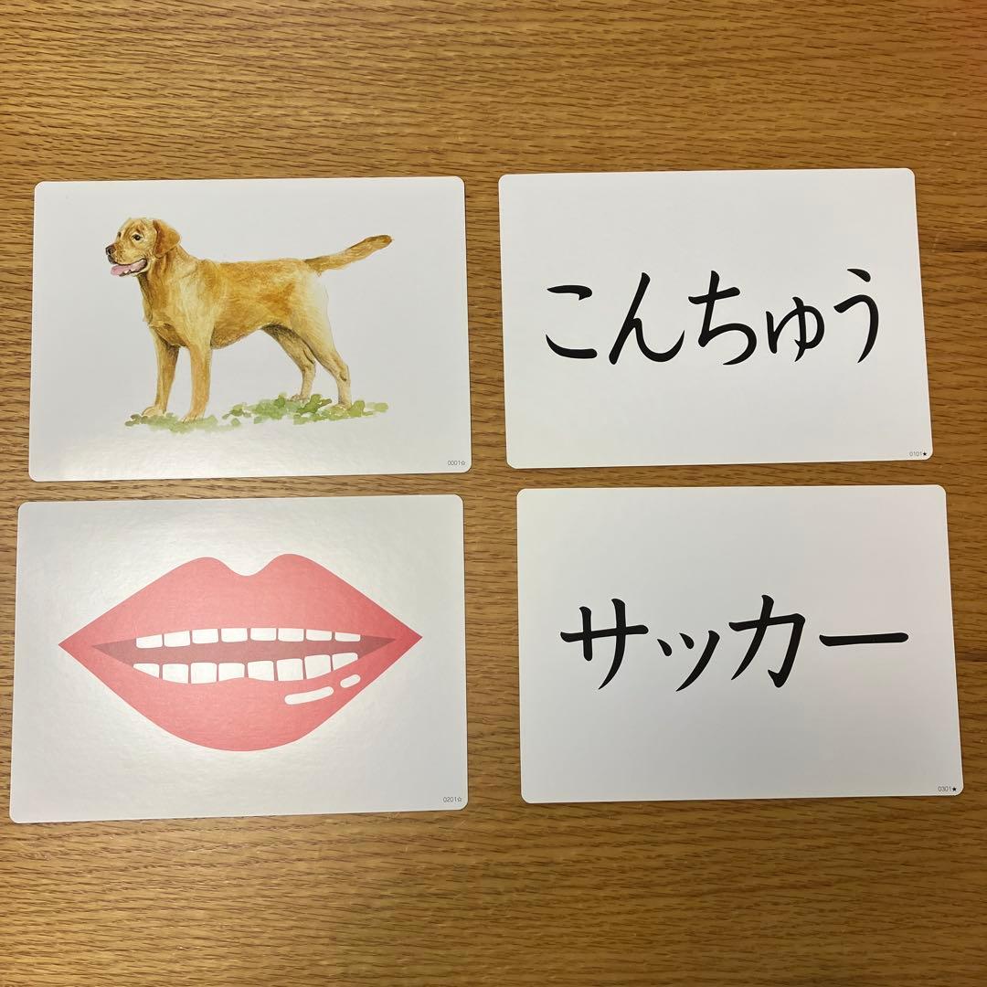 かな絵ちゃん A セット