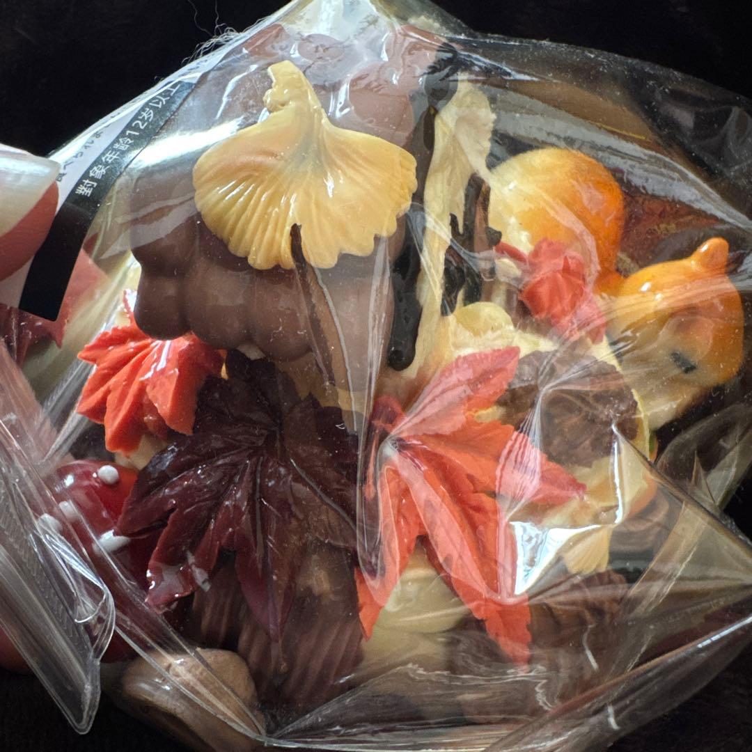 大きなリスのお家