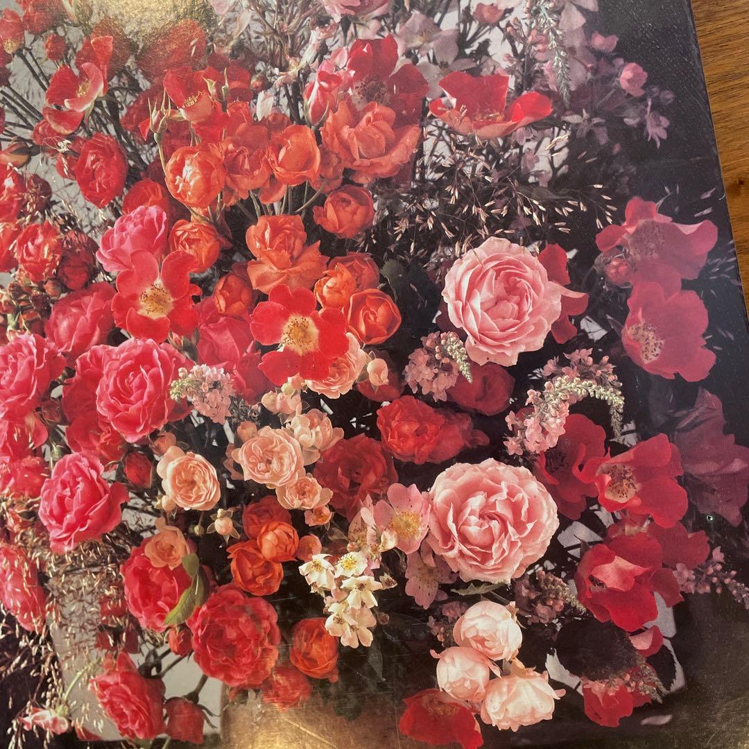 ジグソーパズル　クリステル・ローゼンフェルド　アフロディテ　未開封　2000P