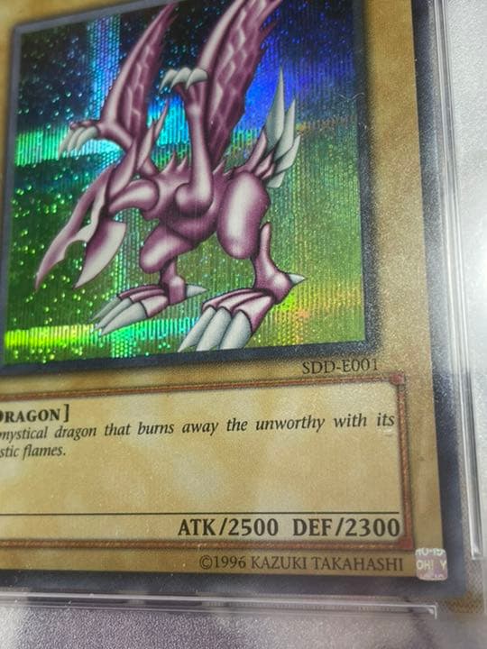 PSA9 遊戯王 英語 EU版 ホーリーナイトドラゴン ラベルエラー