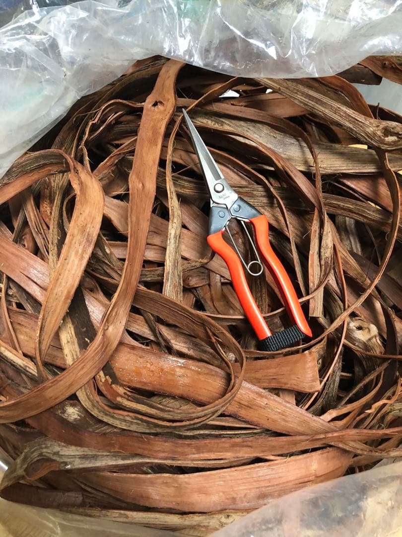 とすこ　天然山葡萄ヒゴ 一朶 - ICHIDA / 山葡萄のかご #01 / ( made in Japan ) | Et cetera