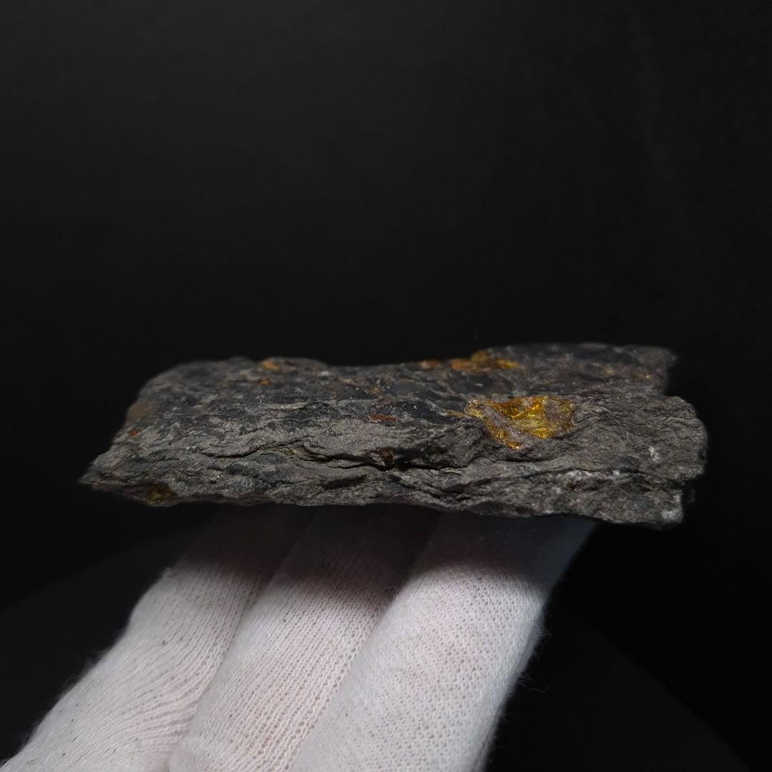 母岩付き 琥珀 化石 本物 87.71mm fab1