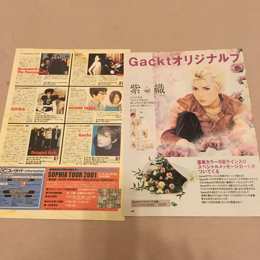 マリスミゼル　フライヤー