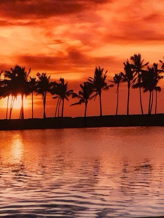 ピーター・リック  (夕方ザ・ビッグアイランドハワイ限定版63/950)