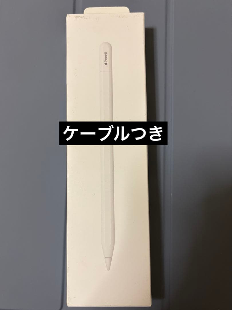 Apple Pencil USB-Cタイプ 1本　ケーブルつき ip-05mcdx-1.jpg
