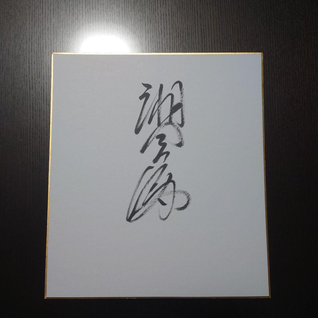 大相撲 湘南乃海 直筆サイン(筆) - メルカリ